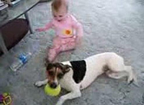 Dog and Boy Very Funy Must Watch!!
