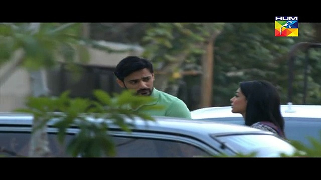Alvidaa 8th Episode 1st April