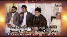 A Beautiful Naat Huzoor Meri to sari Bahar Aap sey hay By Shaykh Hammad Mustafa Qadri Al Madani