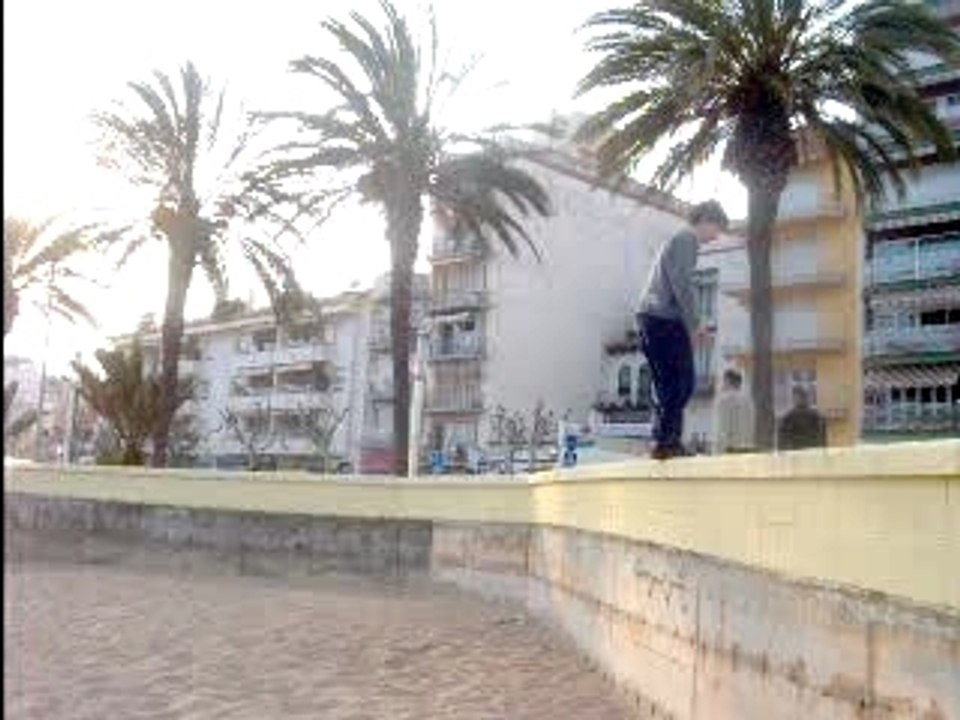 BackFlip