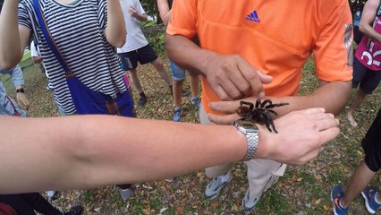 Backpacking Central America - Belize - Guatemala - Nicaragua