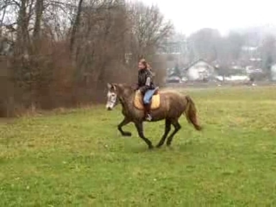 cercle au galop