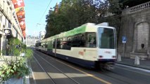 31/08/13 - Trams & Trolleybuses - Geneva - Switzerland