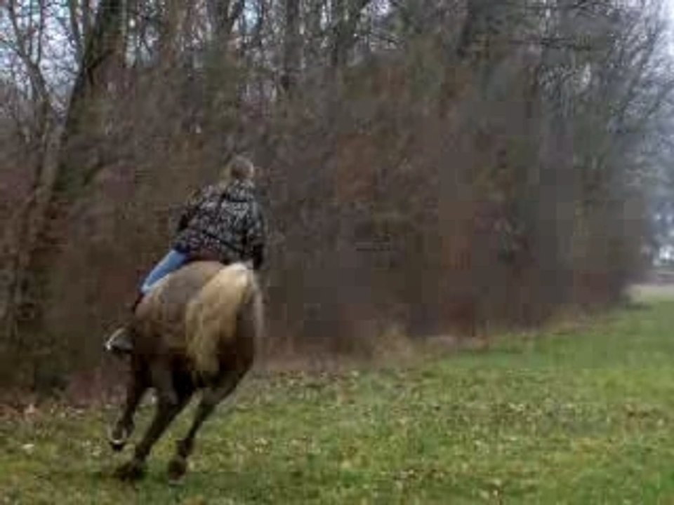 cercle au galop 2