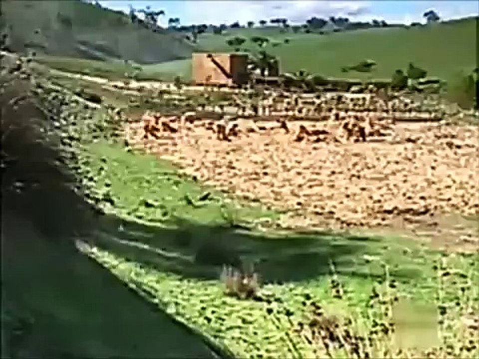 Noah's Ark - [2/6]