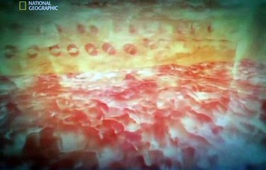 Miecz Samuraja Dokument