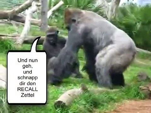 Die lustige Welt der Tiere 1 (Das BESTE der Tierwelt)