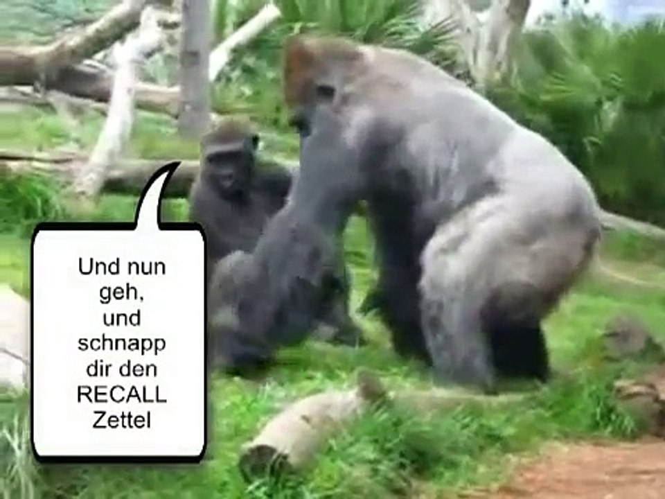 Die lustige Welt der Tiere 1 (Das BESTE der Tierwelt)
