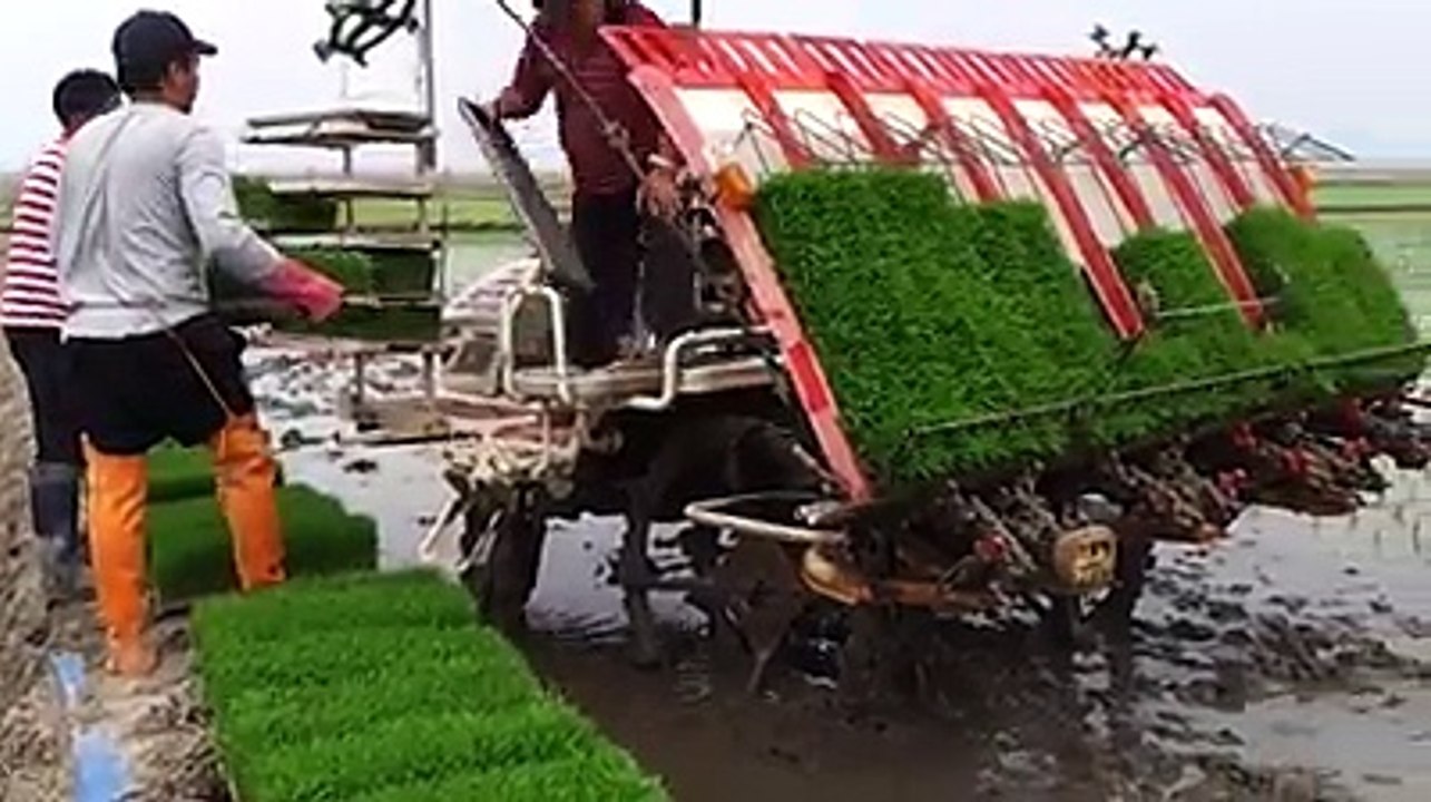 very good farmer