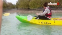 Les footballeuses du PSG s'essaient au kayak dans les mangroves qataries