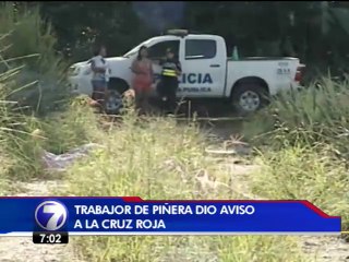 Trabajador agrícola encuentra dos cuerpos sin vida en piñera de Pococí
