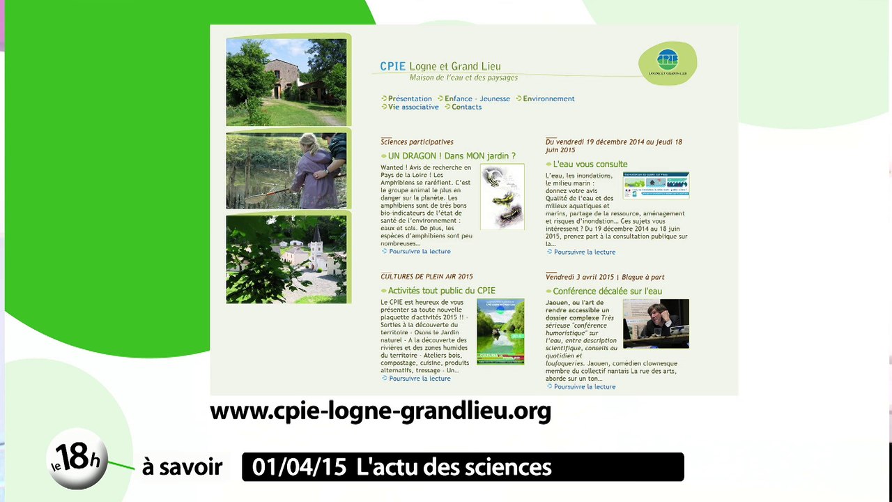 Les mauvaises herbes redorent leur blason