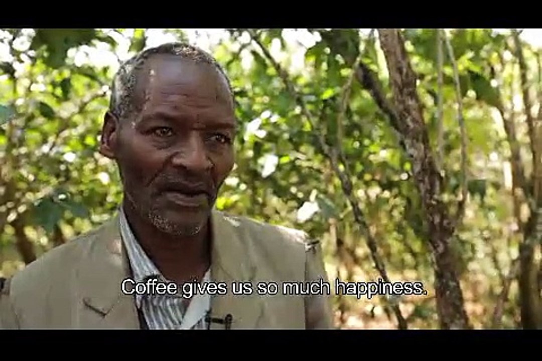 vi è solo caffè