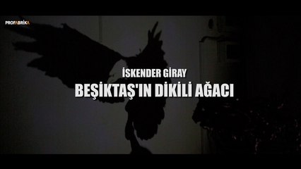 BEŞİKTAŞ'IN DİKİLİ AĞACI - İskender Giray