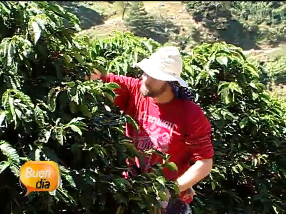 Japonés continúa su camino por encontrar la taza perfecta de café