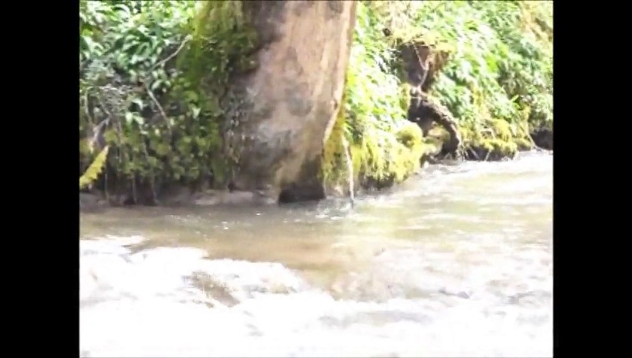 la meline 01 avril 2015