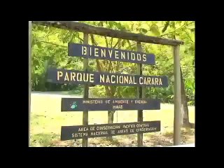 ¿Sabés cuál parque nacional fue el primero en construir un sendero de acceso universal?