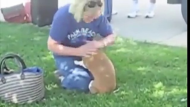شاهدوا كيف يبكي هذا الكلب فرحا برجوع صاحبته من السفر. سبحان الله