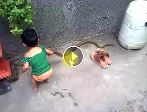 Ce petit garçon a eu la vie sauve à cause de son courage, regardez ce qu'il a fait.