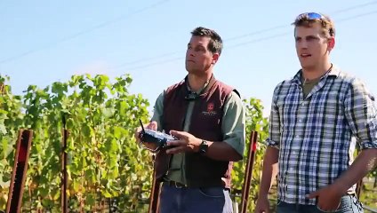 drones innn agriculture