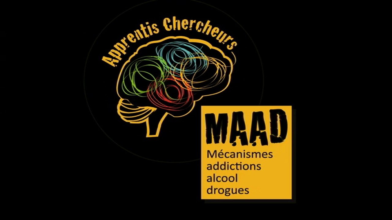 Apprentis Chercheurs "Mécanismes des addictions à l’alcool et aux drogues" saison 1, 2013