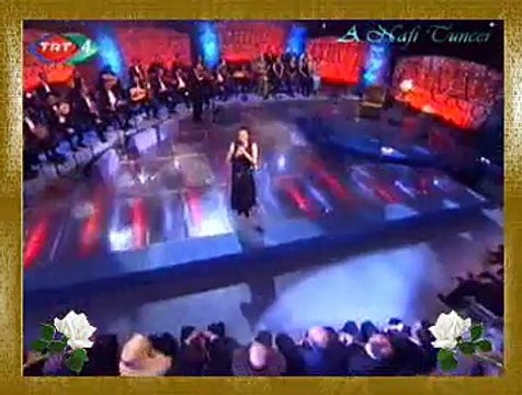 Nalân ALTINÖRS *Yâr Saçları Lüle Lüle Yâr Benziyor Beyaz Güle*