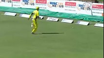 Have You Ever Seen Such A Spectacular Fielding Effort Before