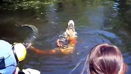 Un guide se jette dans la rivière nourrir des crocodiles ... WTF
