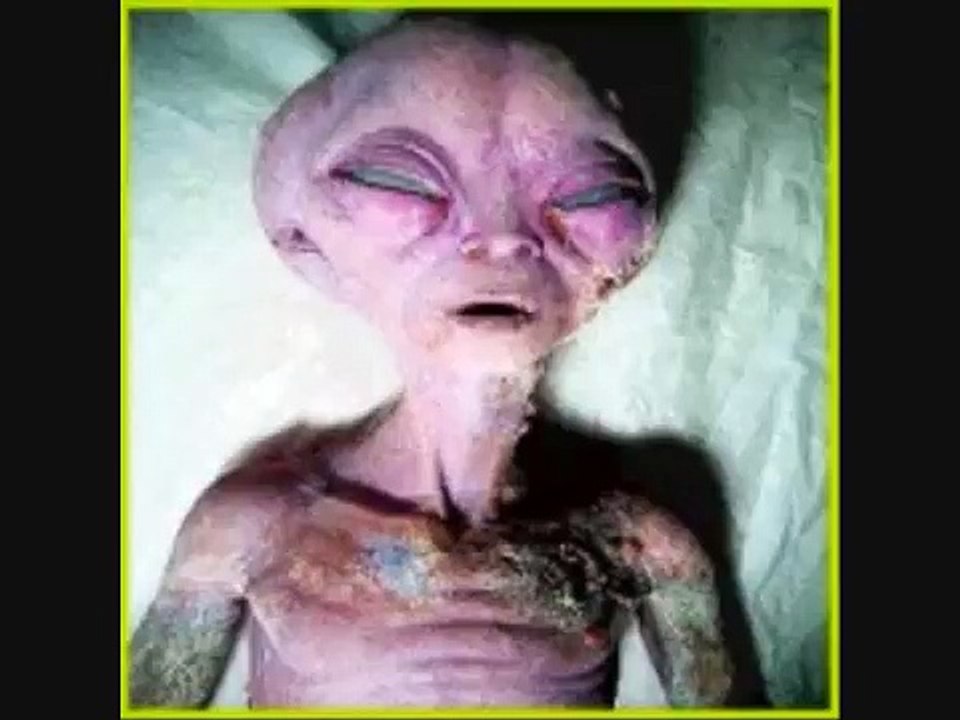 Alien Life (Pictures of Real Aliens) - ufo files - alien - files - area 51 files - extraterrestrial