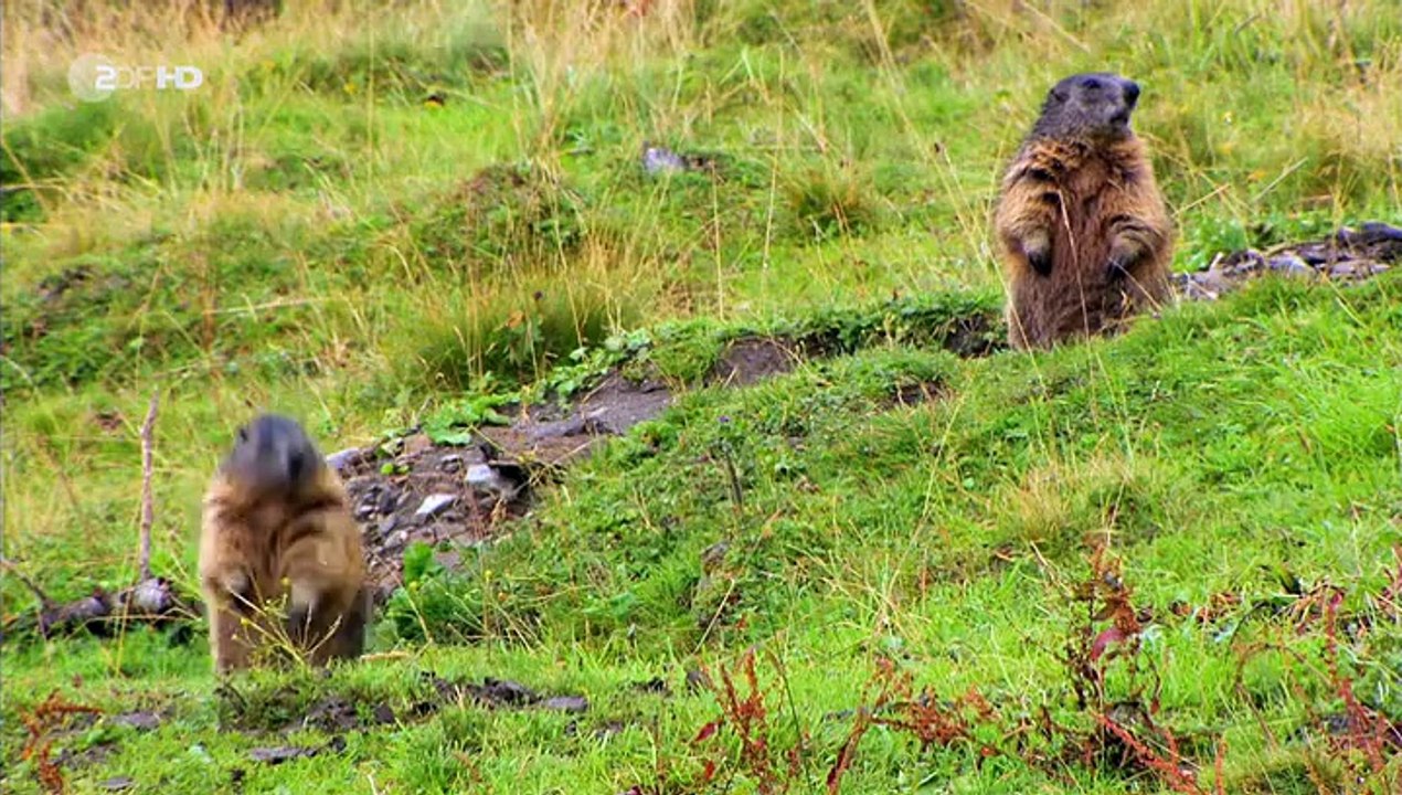 Deutschland  der untersberg