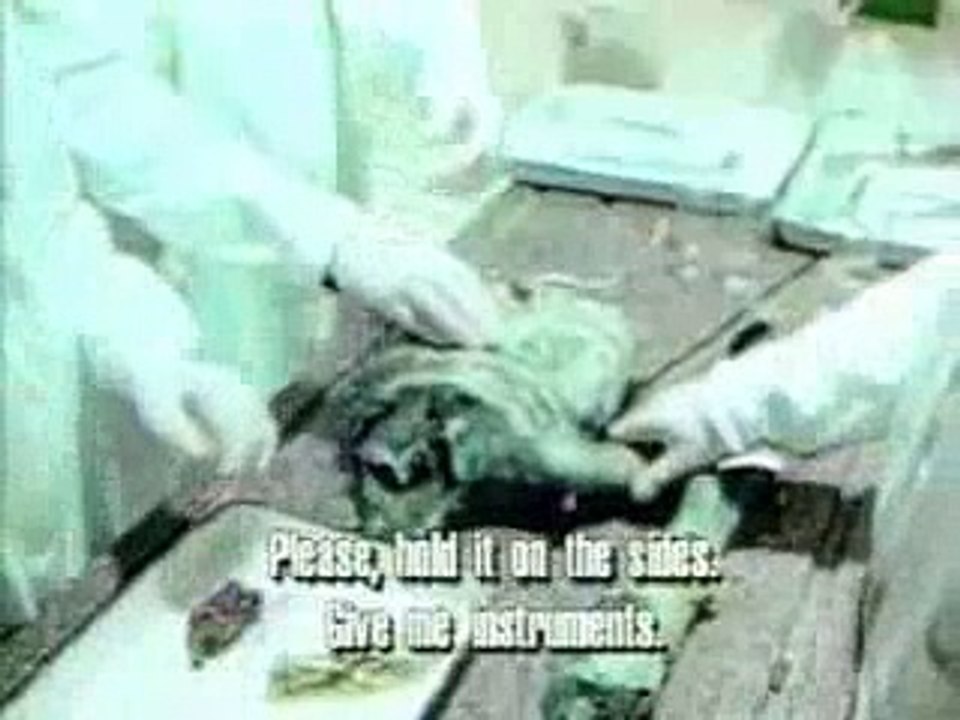 Russian KGB Alien Autopsy Real UFO