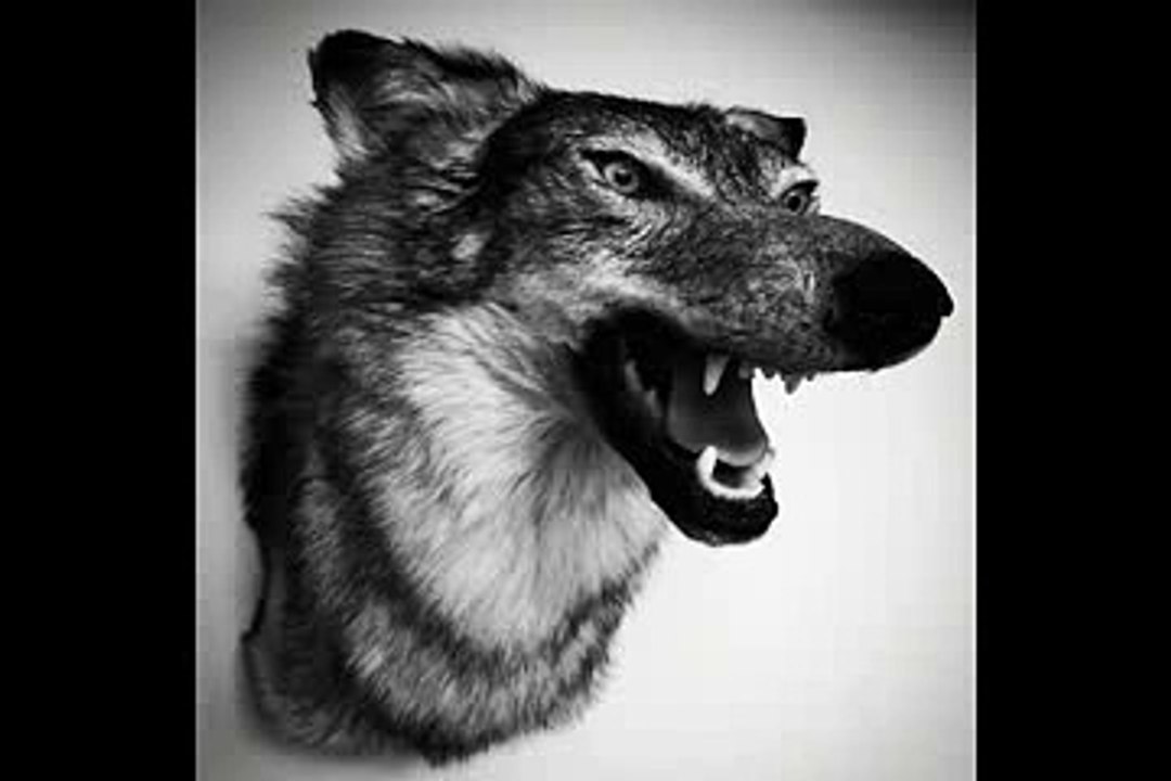 Yelawolf - Empty Bottles [Love Story]