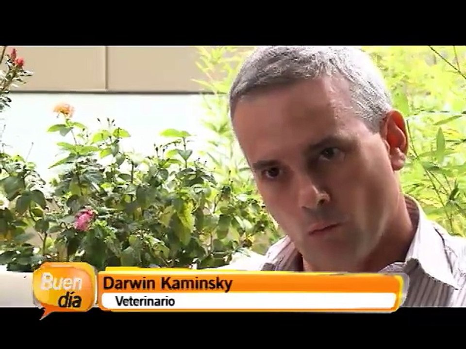 Conozca los cuidados que se deben tener con las mascotas y los adultos mayores