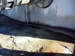 World's Longest Snake-