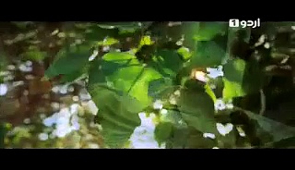 Murada Mai - Episode 13 - Urdu1 Drama - 1st April 2015 Watch Free All TV Programs. Apna TV Zone