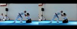 [3D] AIKIDO 合気道 MARTIAL ARTS IN HIGH SPEED + SLOW MOTION KUNGFU FIGHTING - Manifest 2011