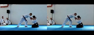 [3D] AIKIDO 合気道 MARTIAL ARTS IN HIGH SPEED   SLOW MOTION KUNGFU FIGHTING - Manifest 2011