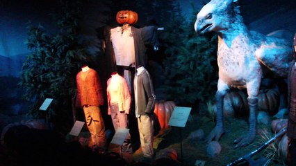 Harry Potter l'Exposition France