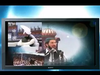 Some Clips Of Sahibzad Sultan Ahmad Ali