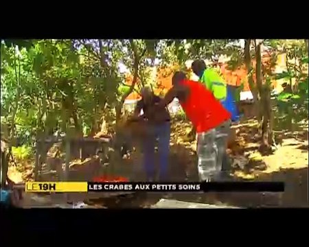 Élevage de crabes pour pâques