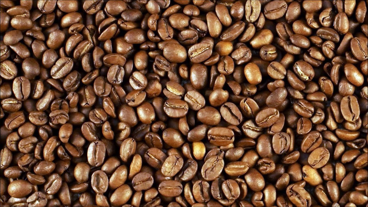 JSG TV: Intro de El Cafe Criollo