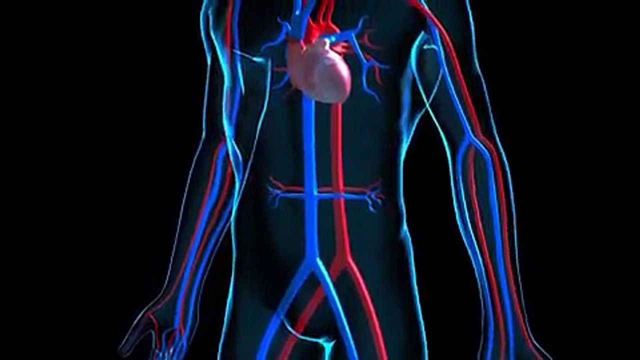 Sudarshan Kriya : (Powerful Breathing Technique) The Science of Breath