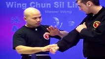 ---Wing Chun kung fu - wing chun  siu lim tao lesson 13