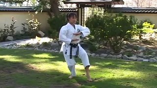 kumite tactics and technics for black belts