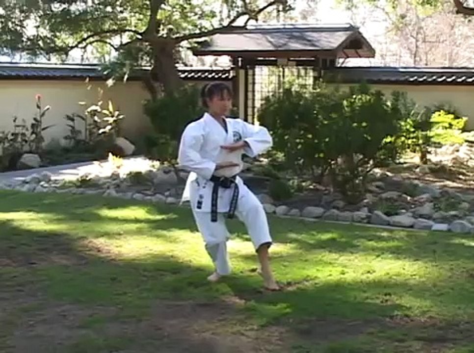 kumite tactics and technics for black belts