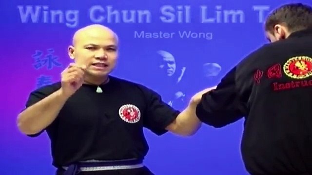 -Wing Chun kung fu - wing chun siu lim tao lesson 6