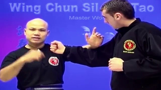 -Wing Chun kung fu - wing chun siu lim tao lesson 8