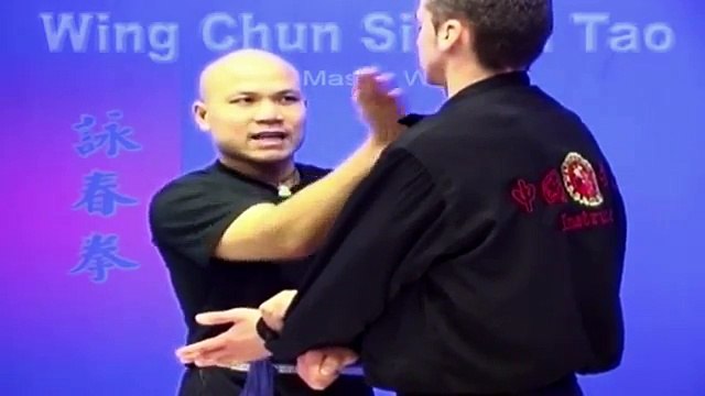 -Wing Chun kung fu - wing chun siu lim tao lesson 11