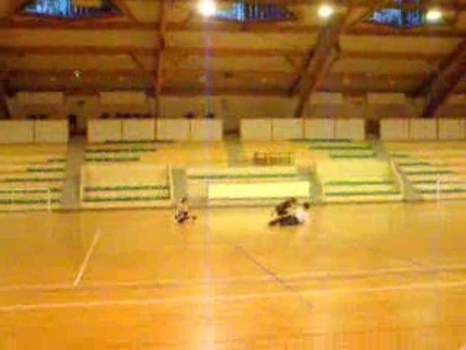 DANSE STAPS