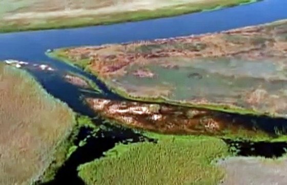 Kalahari Zatopiona Pustynia